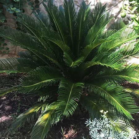 In Okrug Gornji With 1 *